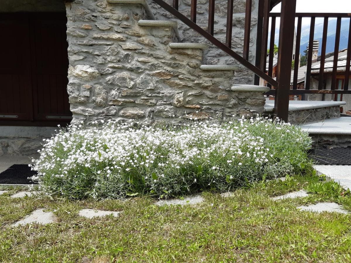 Sauze D'Oulx Ciabot La Garituela With Garden - Wifi- Close To The Chairlift Luaran gambar